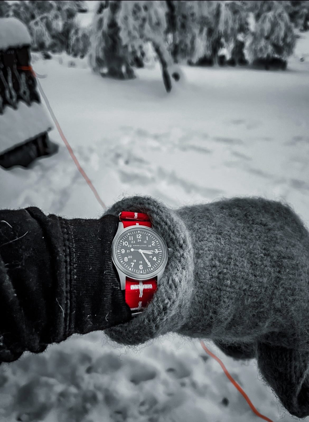 Pasek NATO 20MM czerwono-białe krzyże (Szwajcaria)