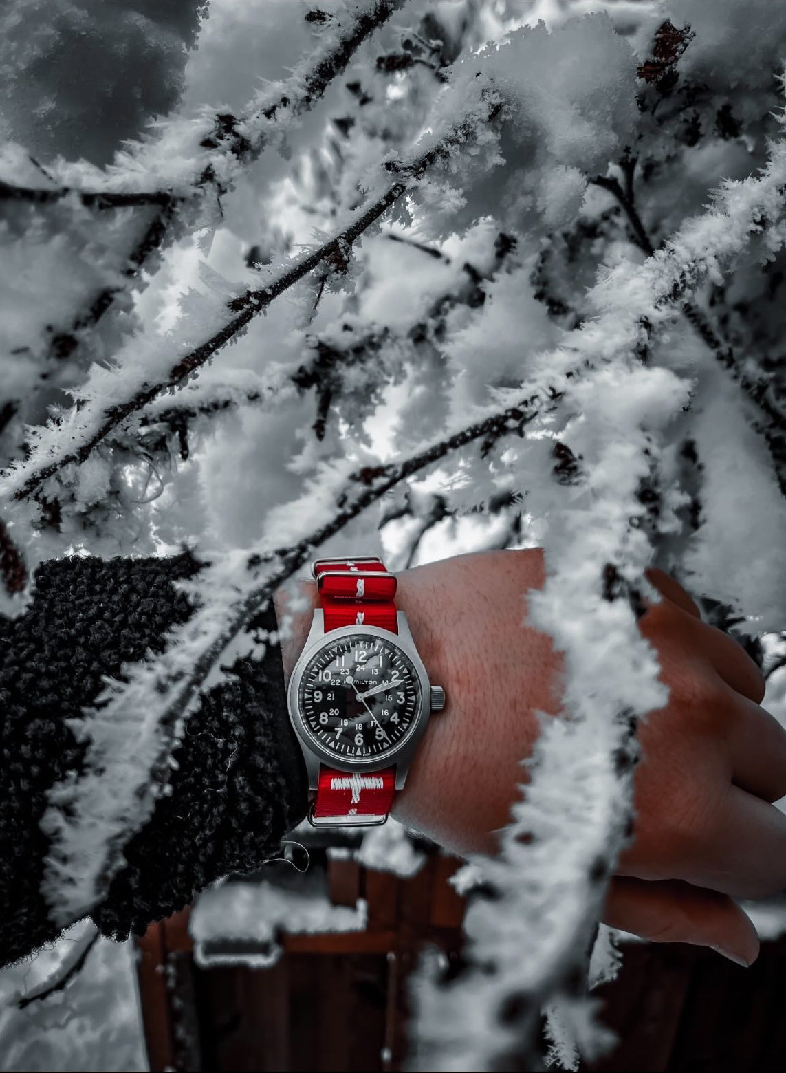 Pasek NATO 20MM czerwono-białe krzyże (Szwajcaria)